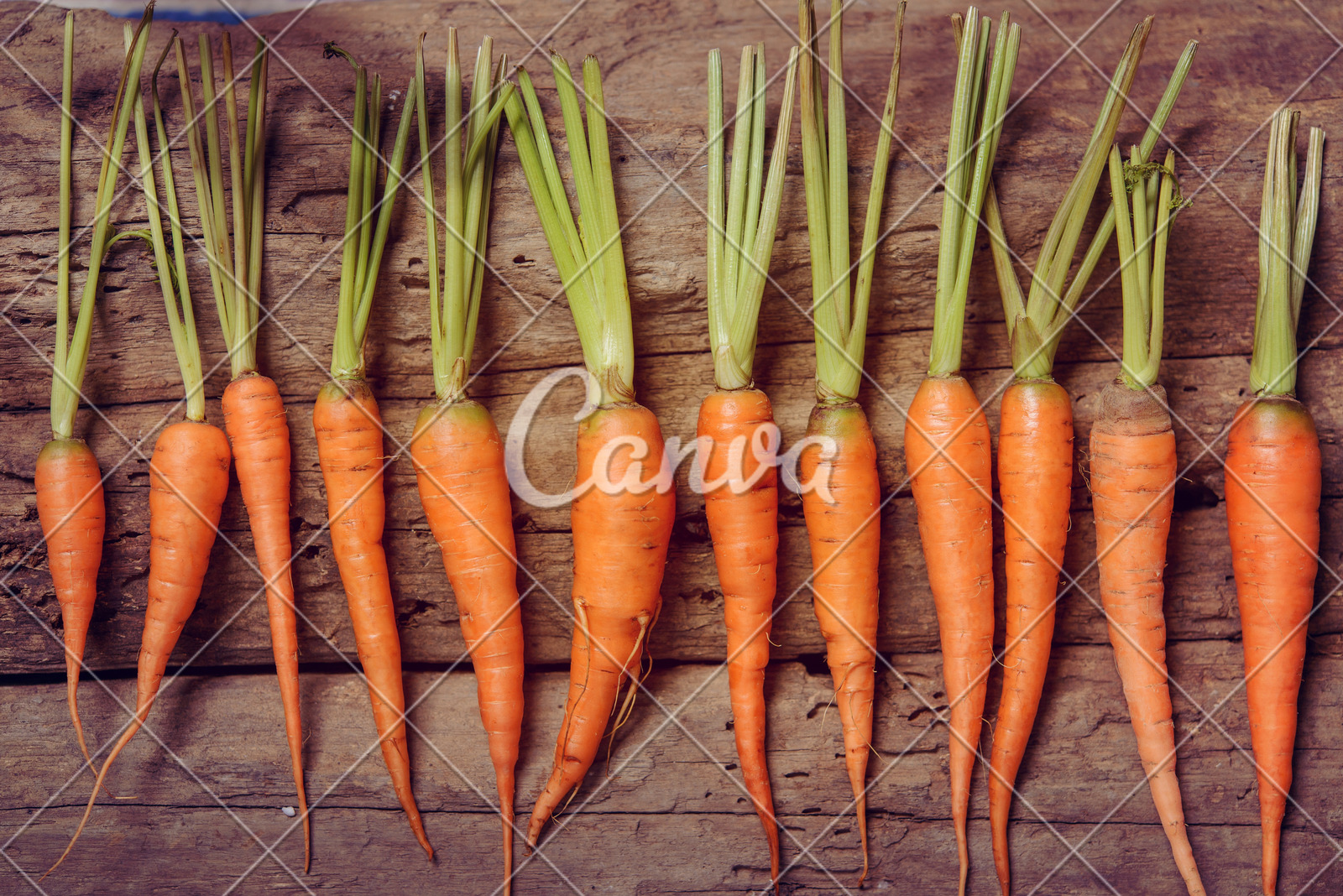 粤港澳三地深度联动！残特奥会助力残疾人事业发展